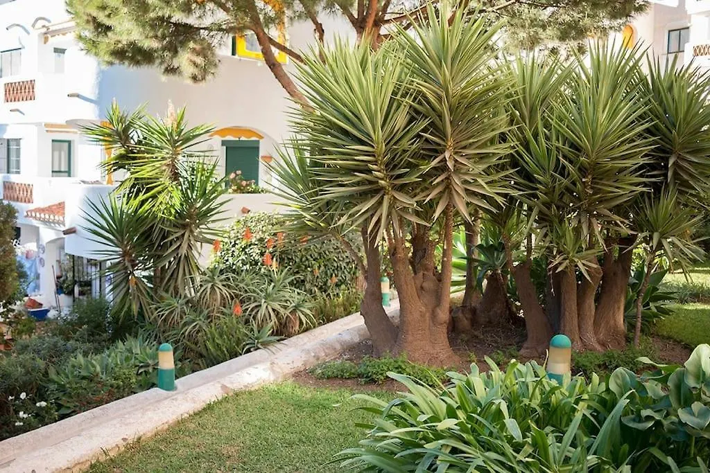 Stunning Ground Floor Apartment! contacts